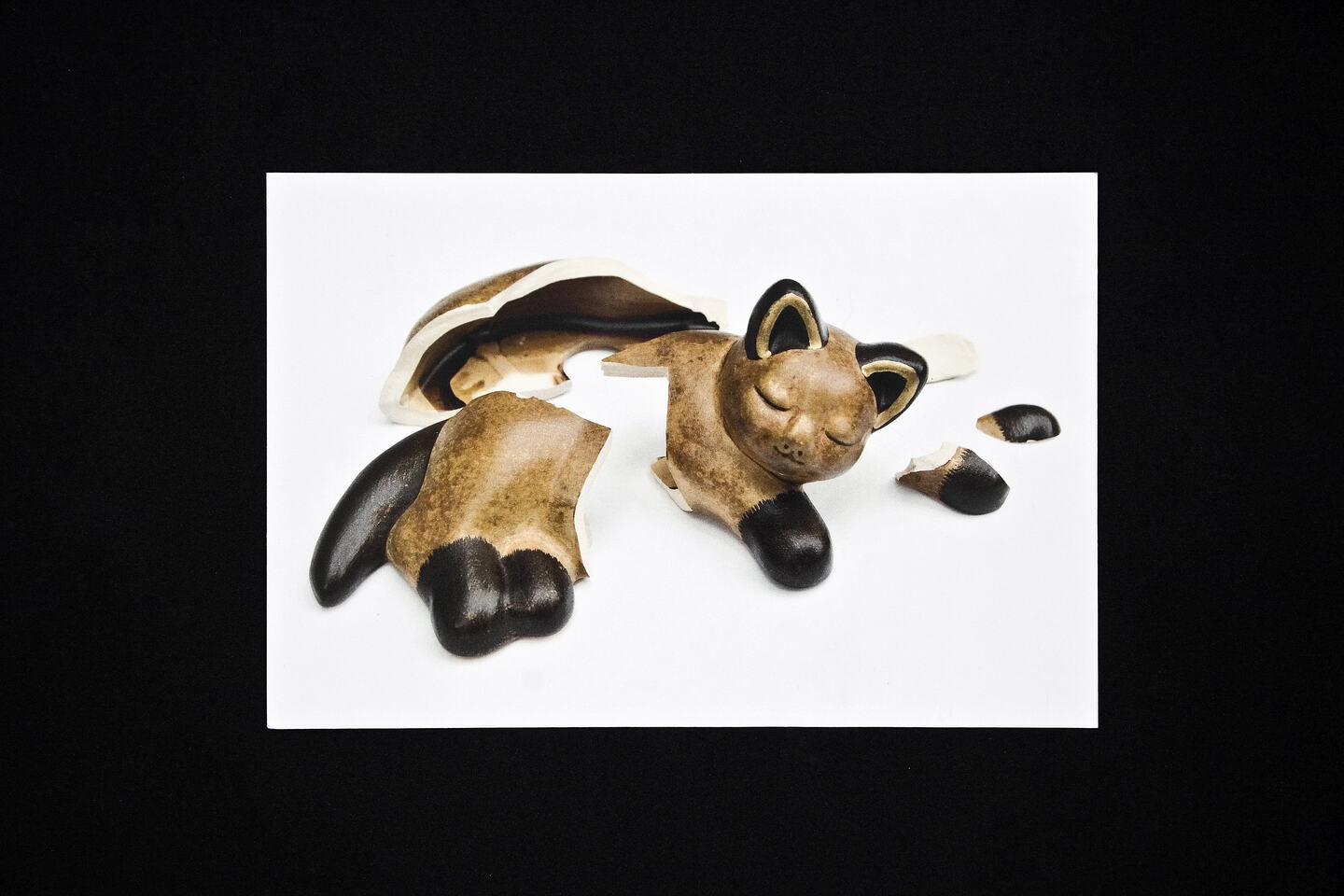 
      A picture of a ceramic cat broken into pieces.
      